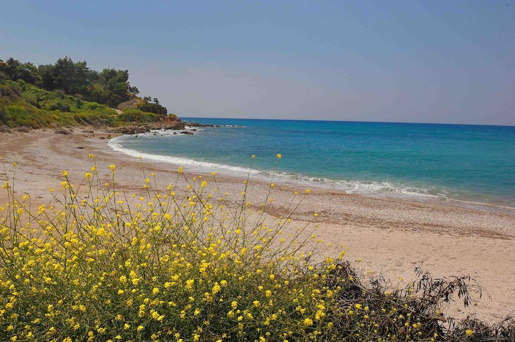 Βίλα Βάντα Λυγιά Δωμάτιο φωτογραφία